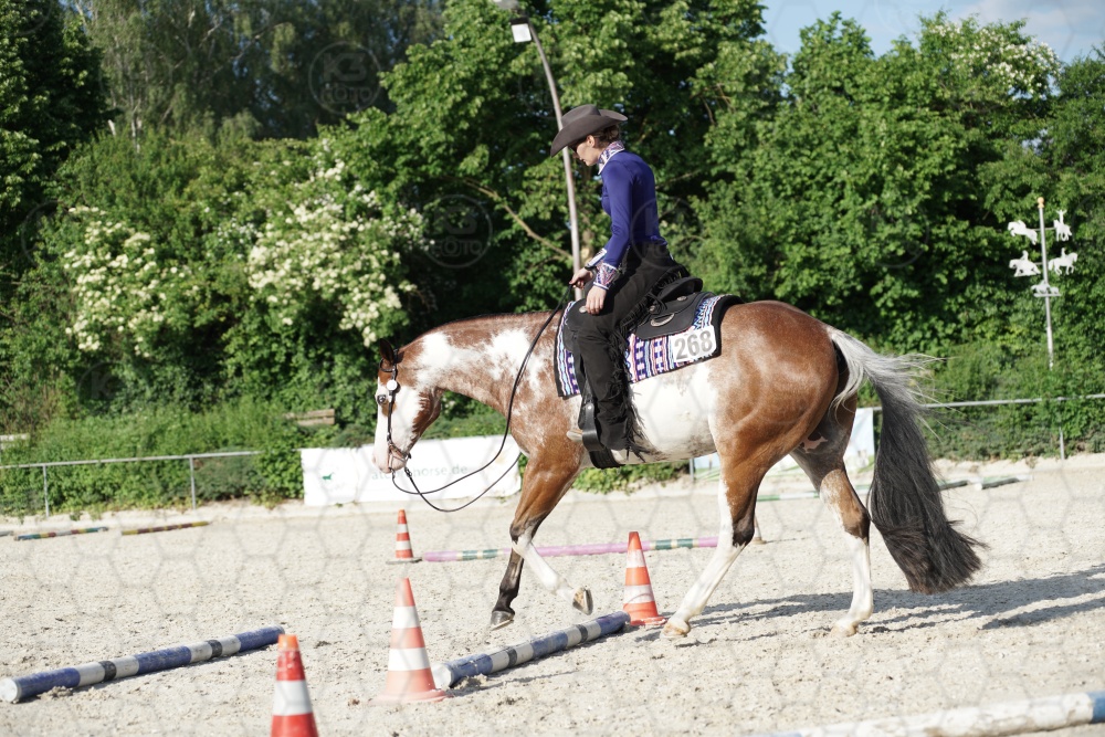 s_APF07026.jpg